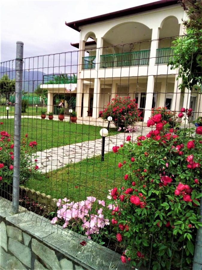 Jenny Apartment Leptokarya (Pieria)